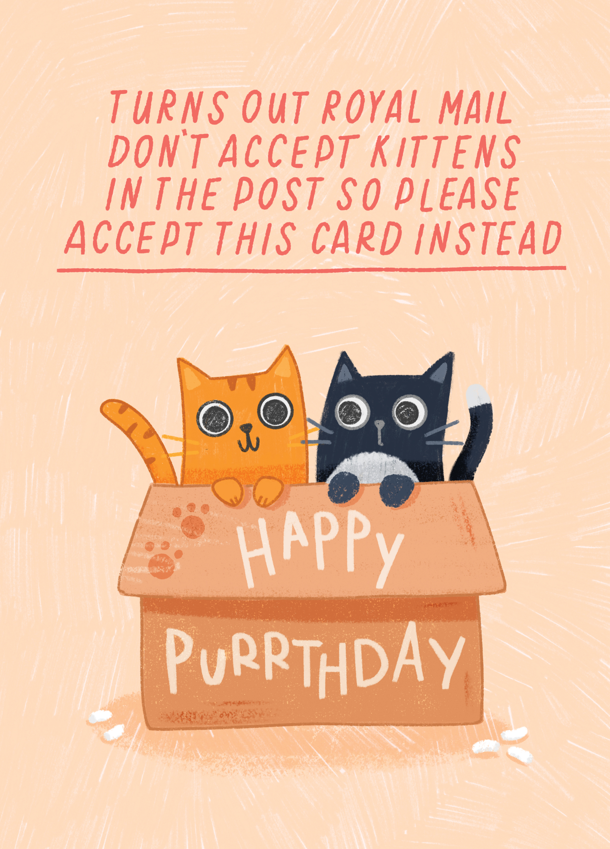 Funny Cat Lover Birthday Card
