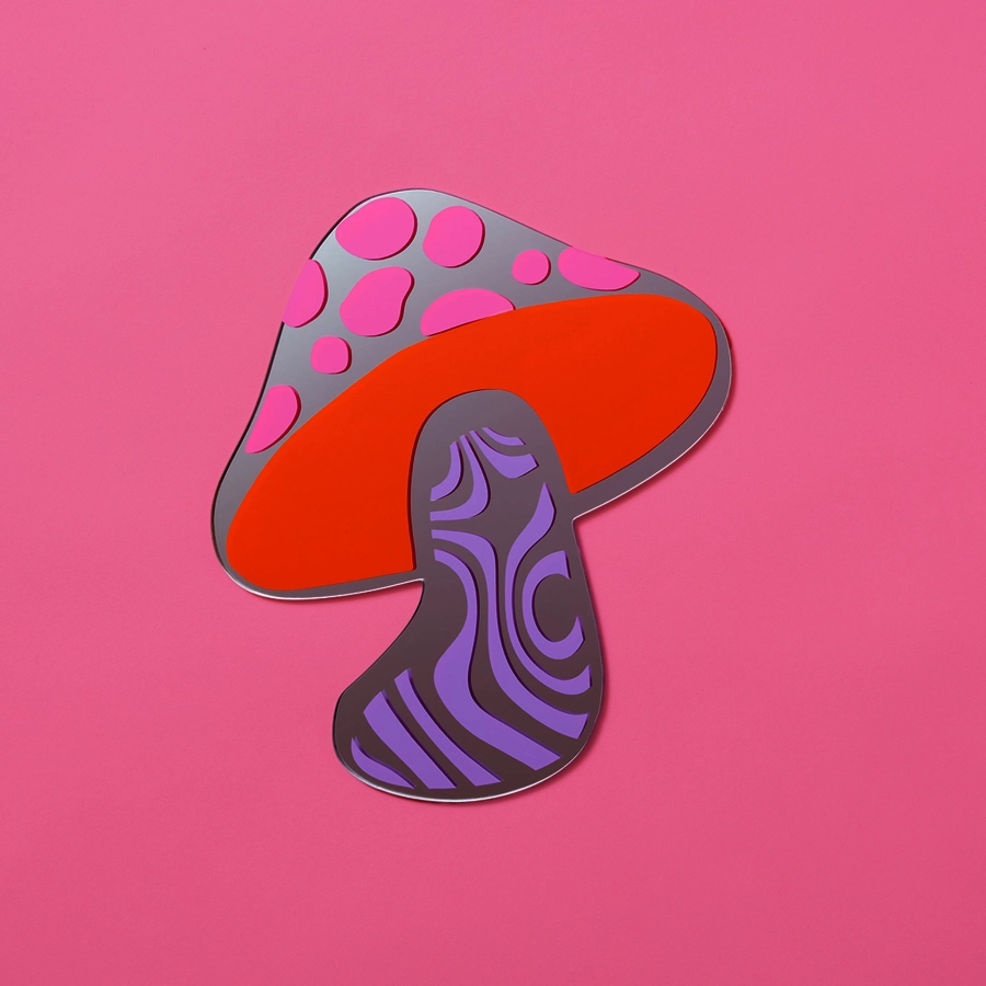 Groovy Toadstool Mirror